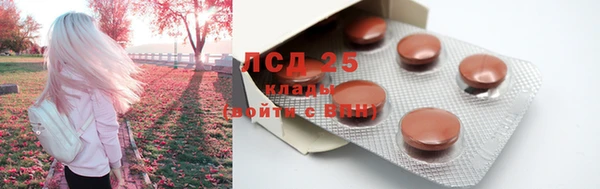 стафф Нефтегорск