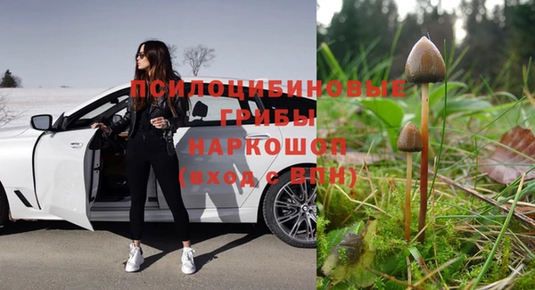 mdpv Армянск